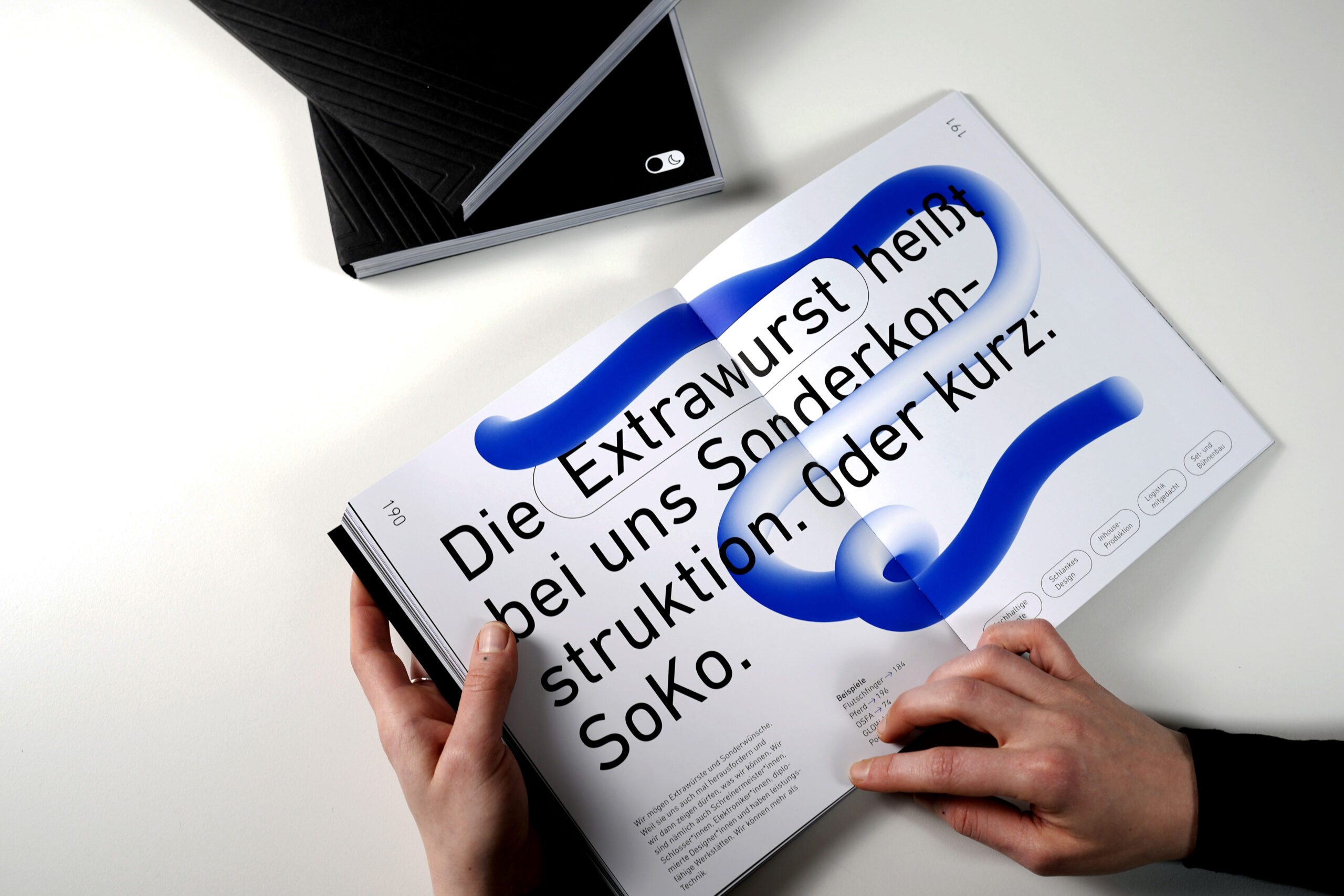 AMBION-BUCH-3